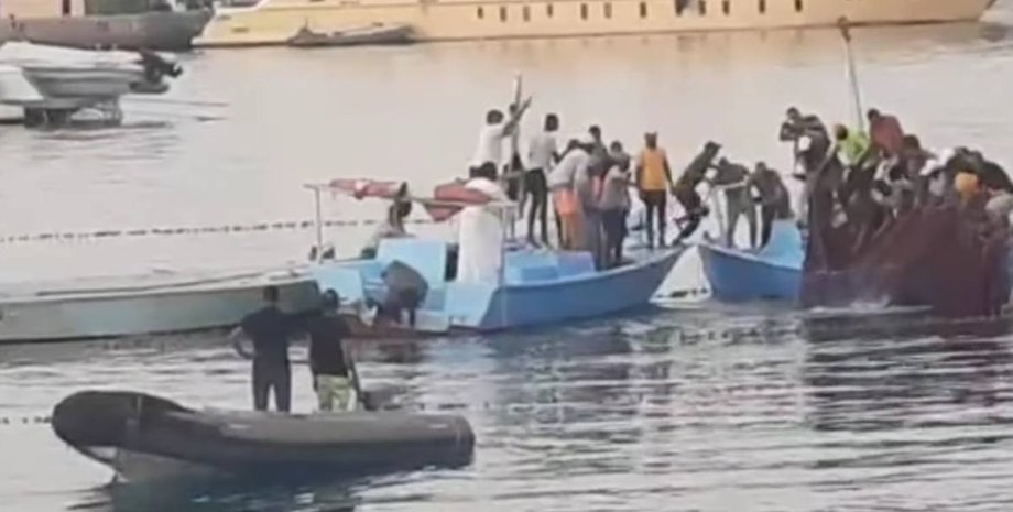 акула, тигрова акула, Єгипет, турист, турист з Росії, трагедія на Червоному морі, акула-людожер, акула з'їла туриста