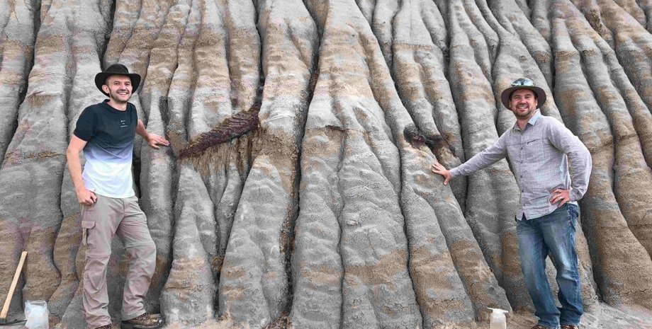 скеля, динозавр, вчені, фото