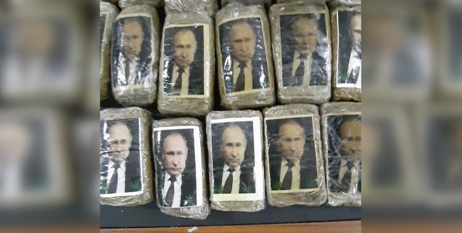 Путин, наркотики, Владимир Путин, гашиш