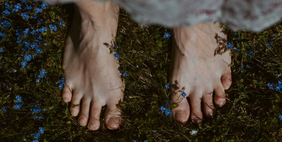 квіти, трава