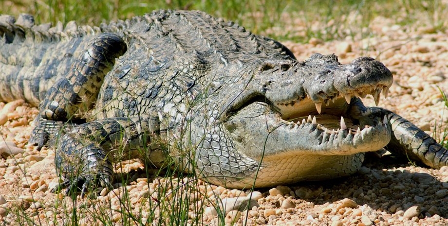 Иллюстративное фото: existed.ru