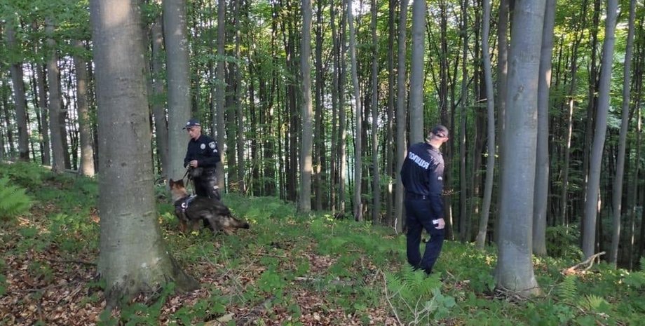 Закарпатье, дети, поиск