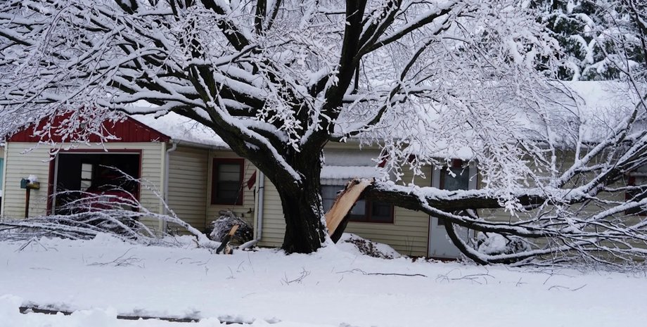 деревья в мороз мороз деревья
