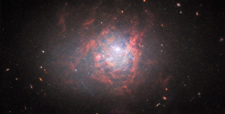 Карликова галактика, NGC 1705