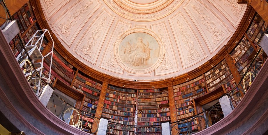 100 тысяч бесценных книг могут исчезнуть из-за обычного насекомого