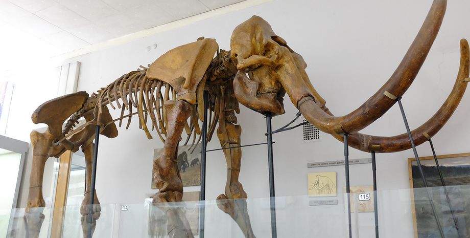 Фото: Александр Чекменев