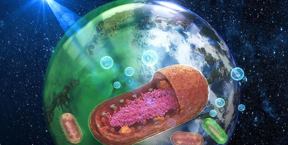 океаны земли