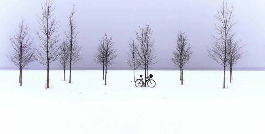 холод, снег, лес