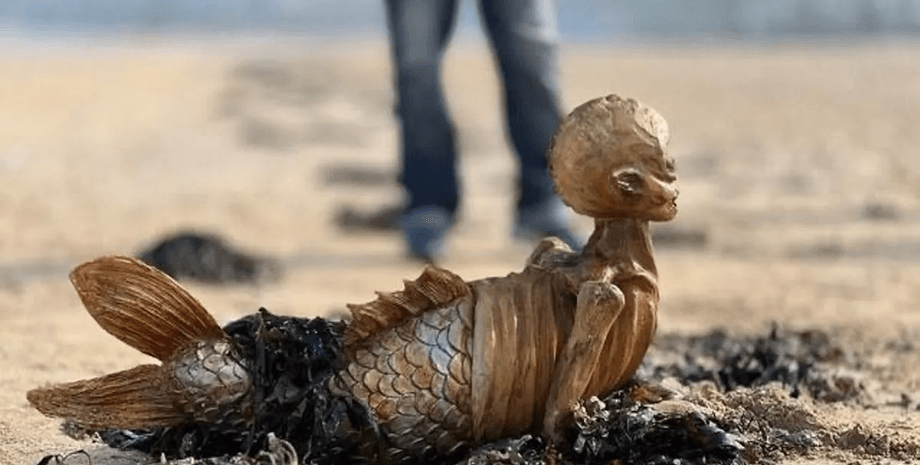 Скелет русалки, выбросило на пляж, необычное существо, странный объект, находка на пляже, жуткое существо, гибрид скелета и русалки,