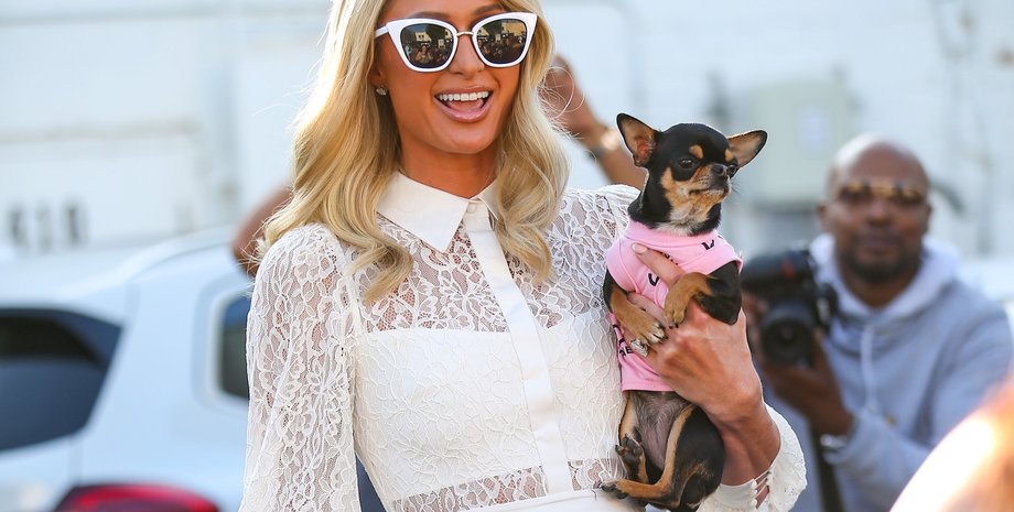 Пэрис Хилтон, актриса, собачка