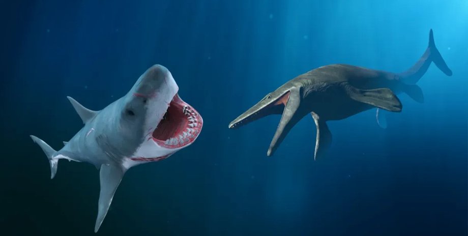 мозавр, мегалодон, мегалодон и мозазавр