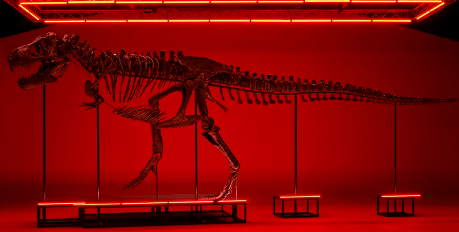 Скелет, динозавр, тираннозавр, TRX-293 Trinity, окаменелости, аукцион