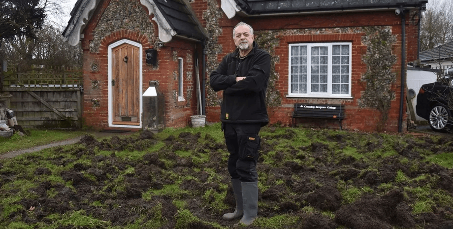 Свині влаштували хаос у селі, свині втекли з ферми, банда свиней, свині псують майно, жителі в паніці, свині псують ділянки