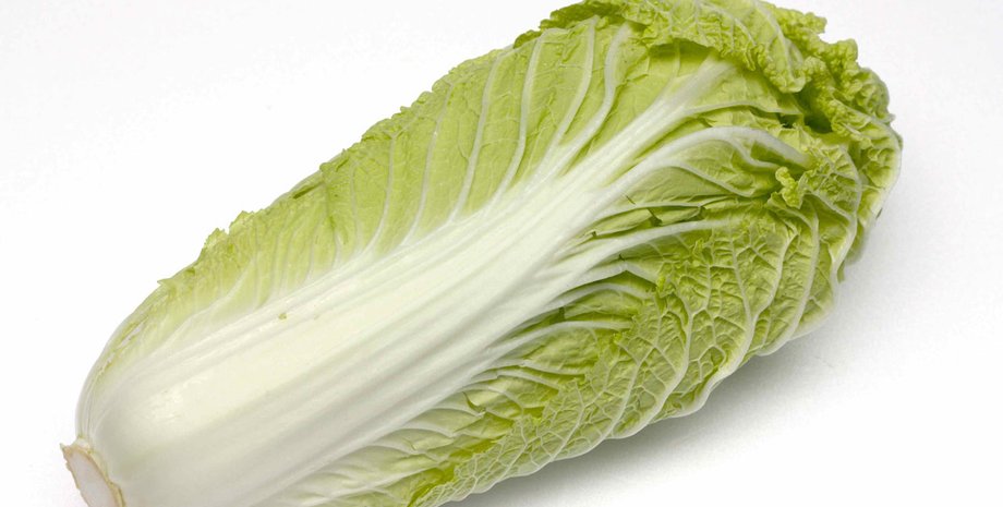 Фото: Дача мечты