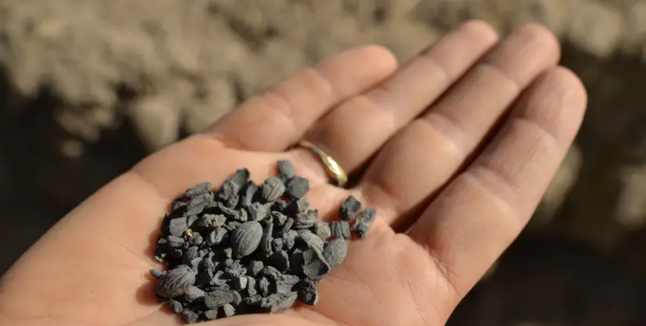 археологія, одяг, дослідження, древні люди