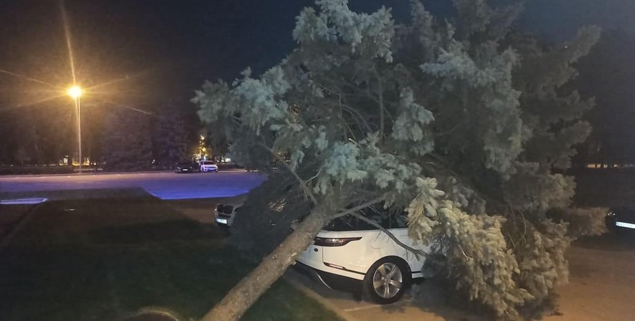 В Одессе дерево рухнул на автомобиль, припаркованный с нарушениями
