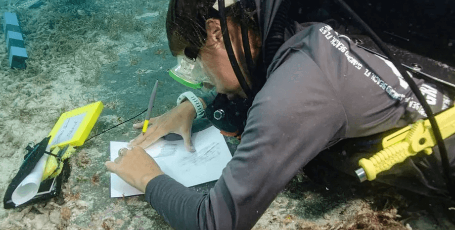 Дайвер, археолог, древности под водой, раскопки, исследования, подводный мир, находка на дне моря