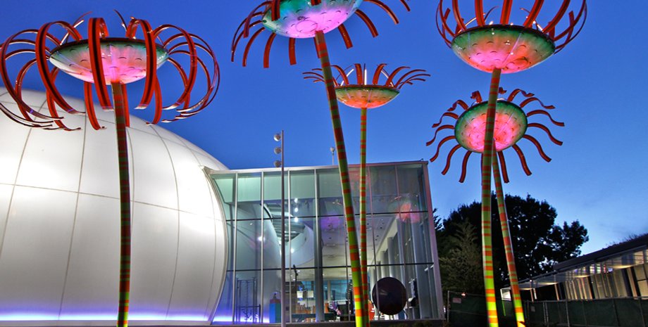 генераторы солнечной энергии Sonic Bloom