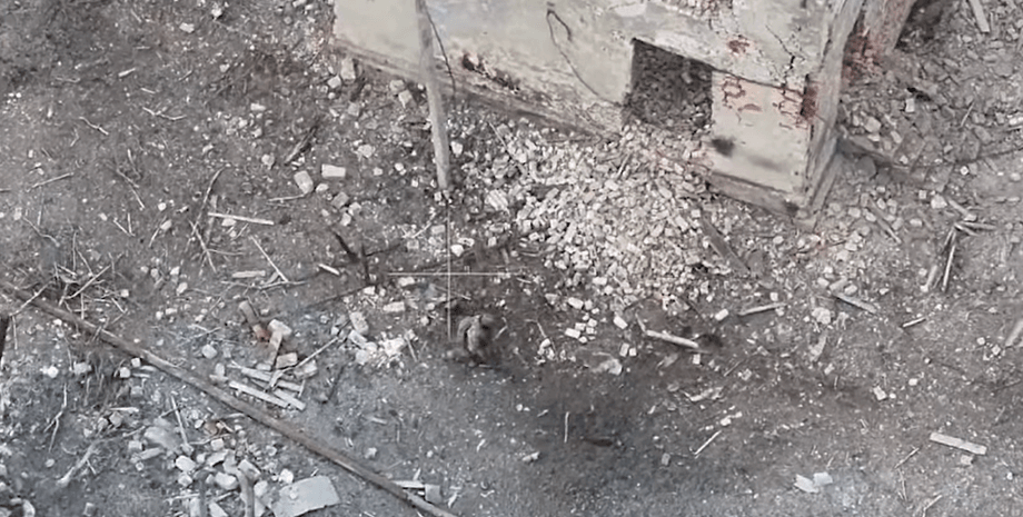 Российские войска, войска ВС РФ, наступление РФ, ВС РФ Торецк, ВС РФ наступление Донбасс, ВС РФ Донецкая область, ВС РФ верблюды