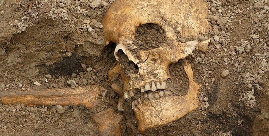 могила викинга, кремация, череп, фото