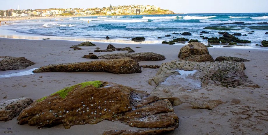 пляж Сіднея сідней пляжі
