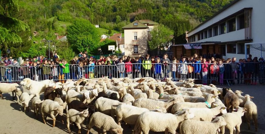 Фото: Le Parisien