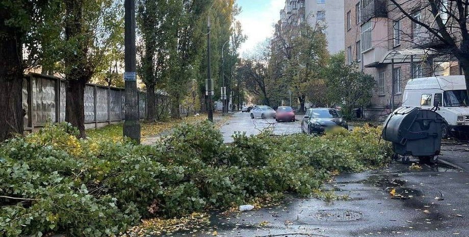 Инцидент в Киеве, Киев упало дерево, Киев непогода 4 ноября, Киев сильный ветер 4 ноября, Патрульная полиция Киева 4 ноября, Патрульная полиция Киева 4 ноября