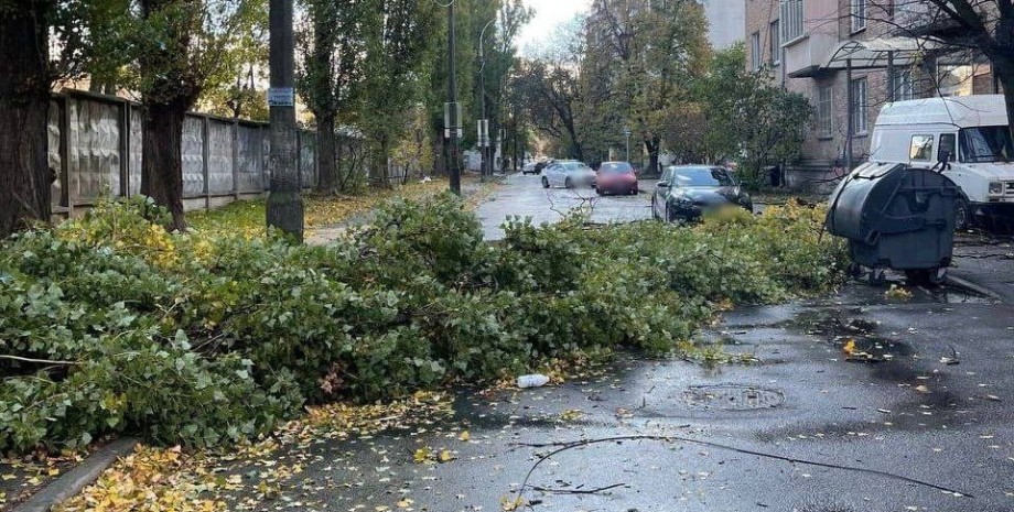 Інцидент у Києві, Київ упало дерево, Київ негода 4 листопада, Київ сильний вітер 4 листопада, Патрульна поліція Києва 4 листопада