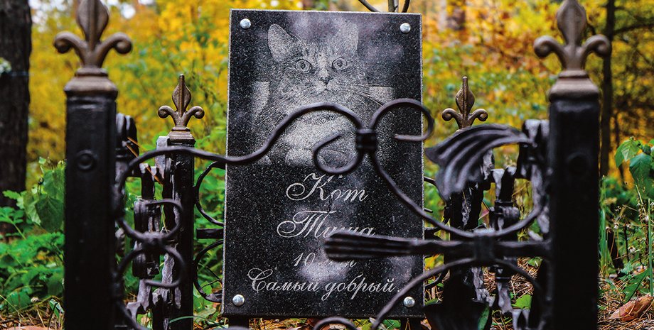 Фото: Ярослав Дебелий