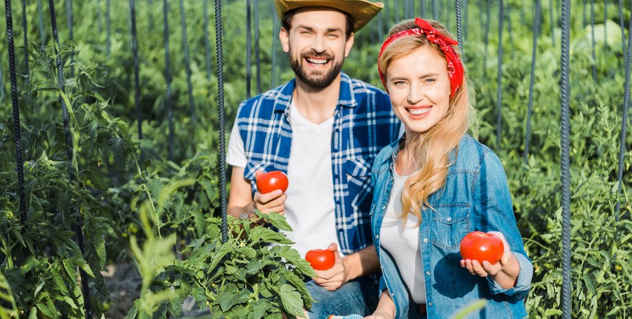 городники з помідорами в руках