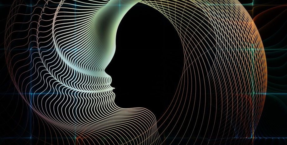 Фото: agsandrew / Shutterstock.com