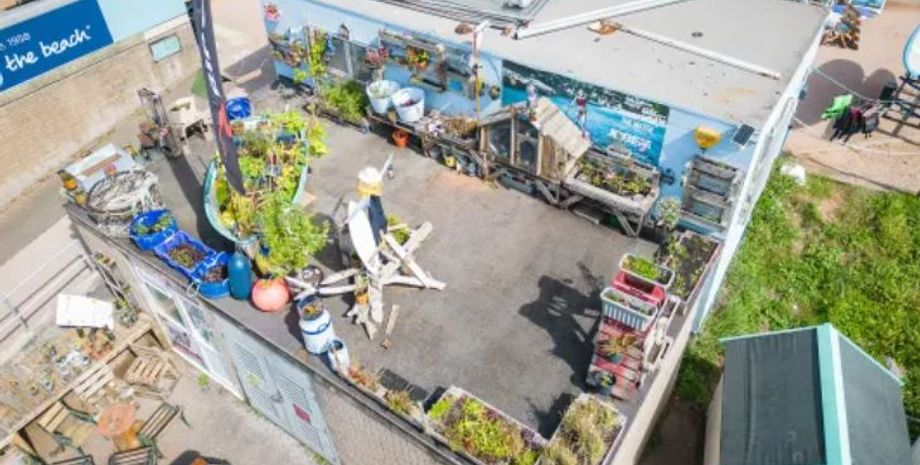 Чоловік посадив сад на даху будинку, скандал, міська рада, звинувачення, озеленення міста