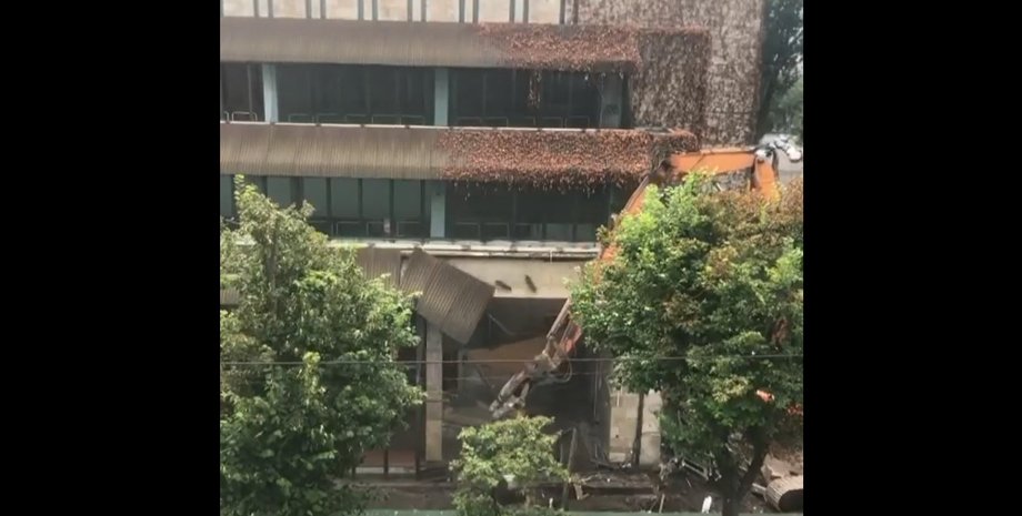 квіти України