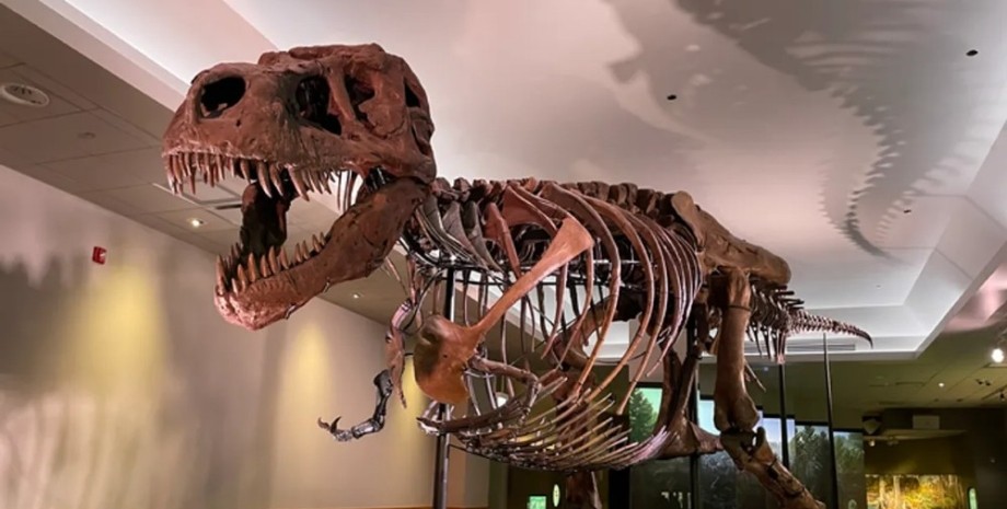 тиранозавр, теропод, хижак, зуби динозавра, древні тварини, гігантські зуби, образ тиранозаврів
