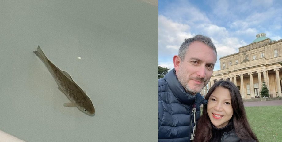 Рыба, карась, люди, семейна пара