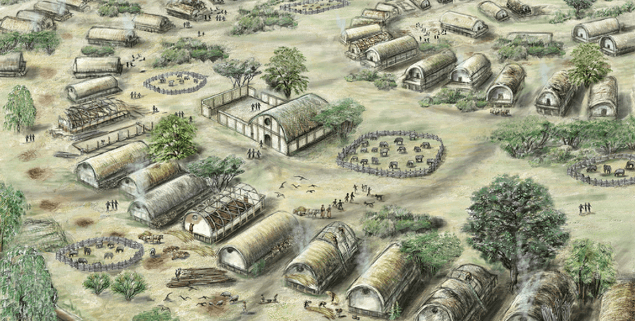 горох, Украина, история, навоз, трипольцы, ученые, исследования, поселения, мегаполис, археология, Трипольская культура, мясо, питание, азот, лесостепь, Молдова, наука, археологи, животное, скот