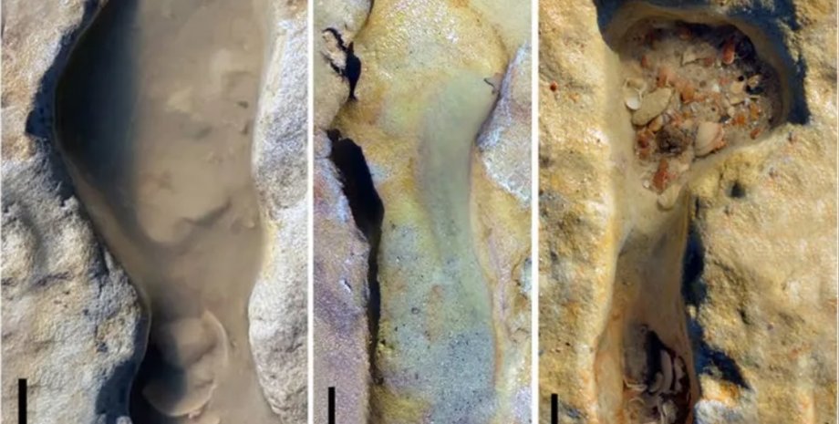 неандертальцы, следы на песке, дети