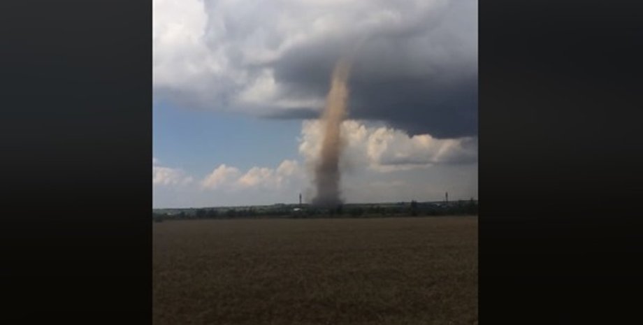 Фото: Скриншот из видео