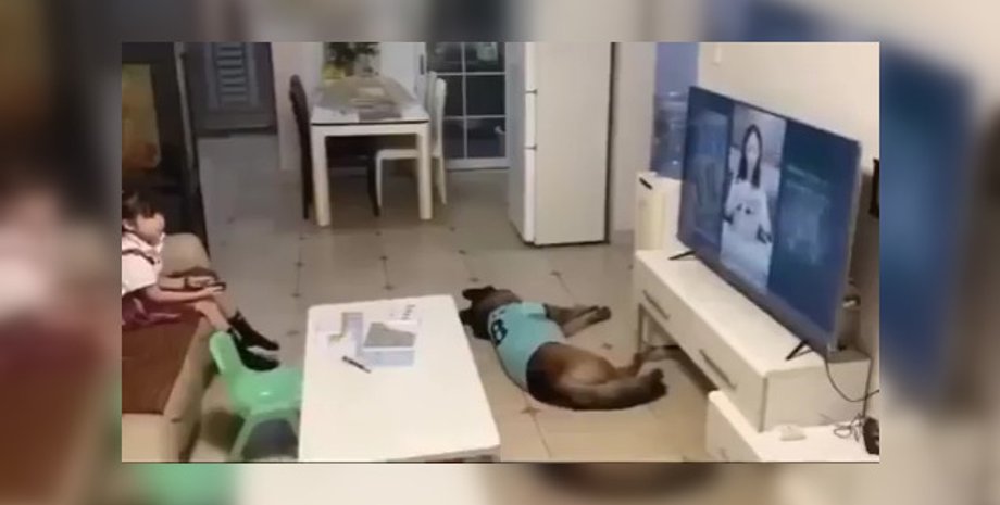 Батько залишив доньку вдома з собакою: побачене на камері здивувало його та мережу (відео)