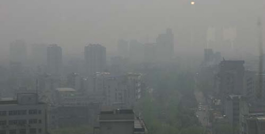 Фото: npblog.com.ua