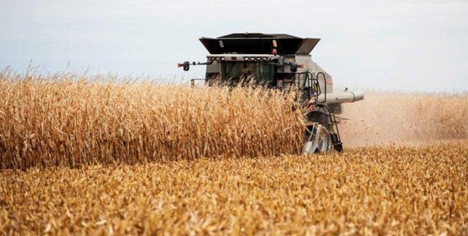 Фото: agronom.com.ua