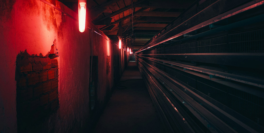 тунель, підвал, прохід