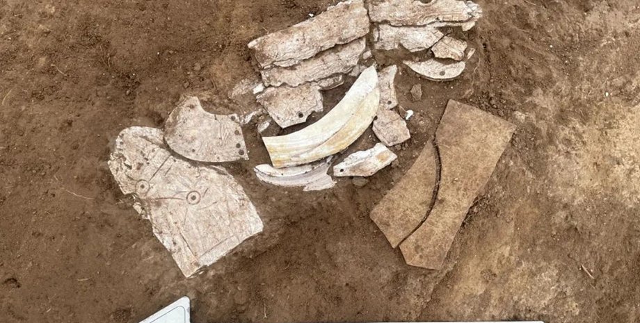 Дракон из ракушки, Культура Хуншань, Артефакты неолита, Археология Внутренней Монголии, Культурная символика, Древнекитайское искусство, Археология, Мотив дракона, Раскопки, Исторические реликвии