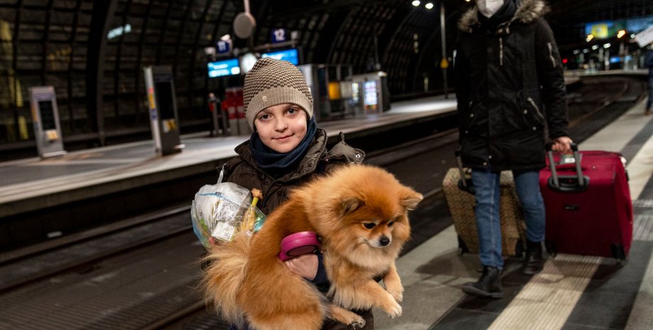 украинцы в Европе, Беженцы в Европе, деньги для беженцев, помощь беженцам, выплаты беженцам, выплаты в Европе, работа в Европе, помощь на детей,