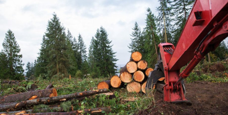 Фото: mykharkov.info