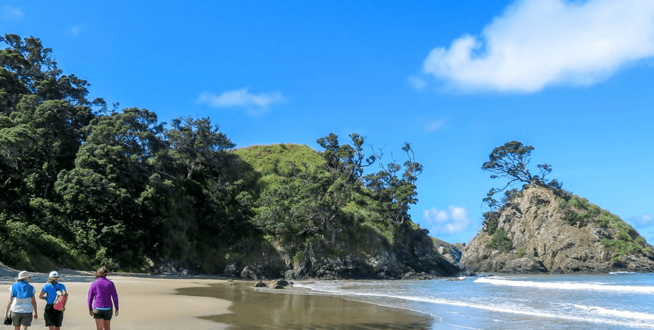 Три людини йдуть босоніж піщаним пляжем острова в Новій Зеландії з краєвидом на скелі та океан