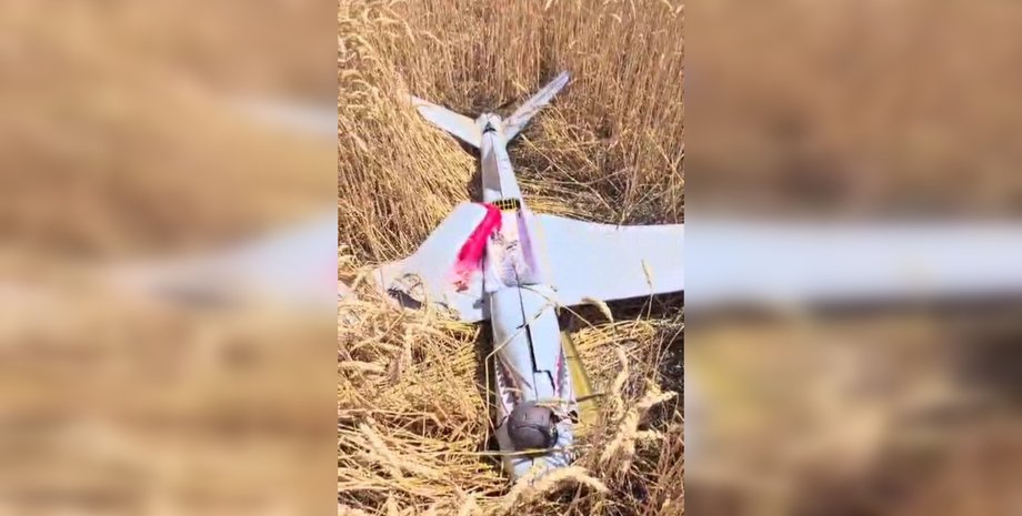 БПЛА, Shark, дрон, Стравопольський край, фото