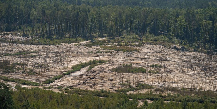Последствия добычи янтаря на Полесье. Фото: пресс-служба президента