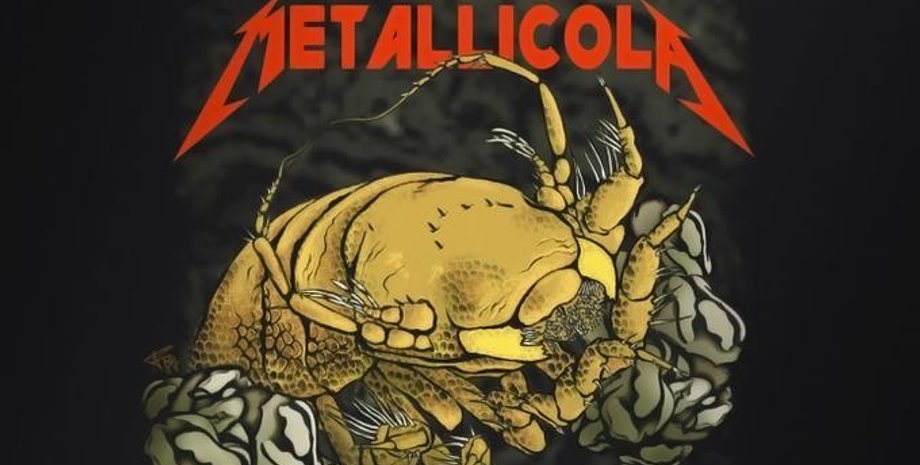 Фото: facebook.com/Metallica