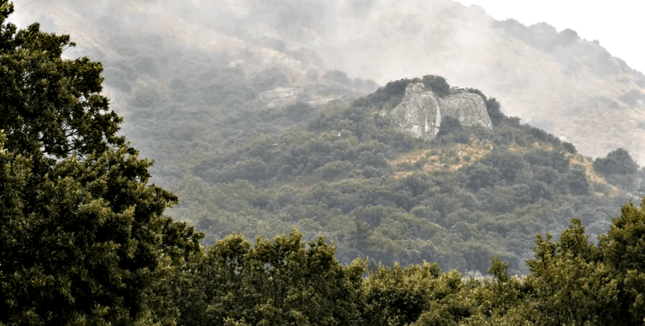 Грот Мандрен, Homo sapiens, неандертальцы, Западная Европа, Ксар Акил, орудия труда, палеолитические технологии, эволюция человека, долина Роны, Франция, Ближний Восток, Шательперонская культура, открытия, древние люди, исследования